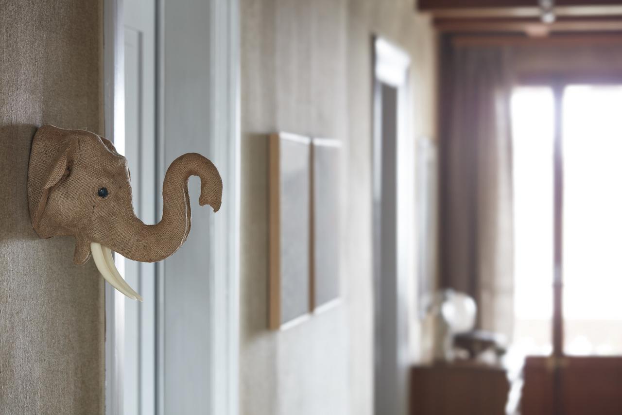 Boutique B&B Maison Bergdorf Interlaken Eksteriør billede